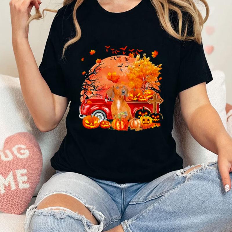 Red Dachshund Dog Hollowed Pumpkin Moon Unisex T-Shirt Hoodie Sweatshirt